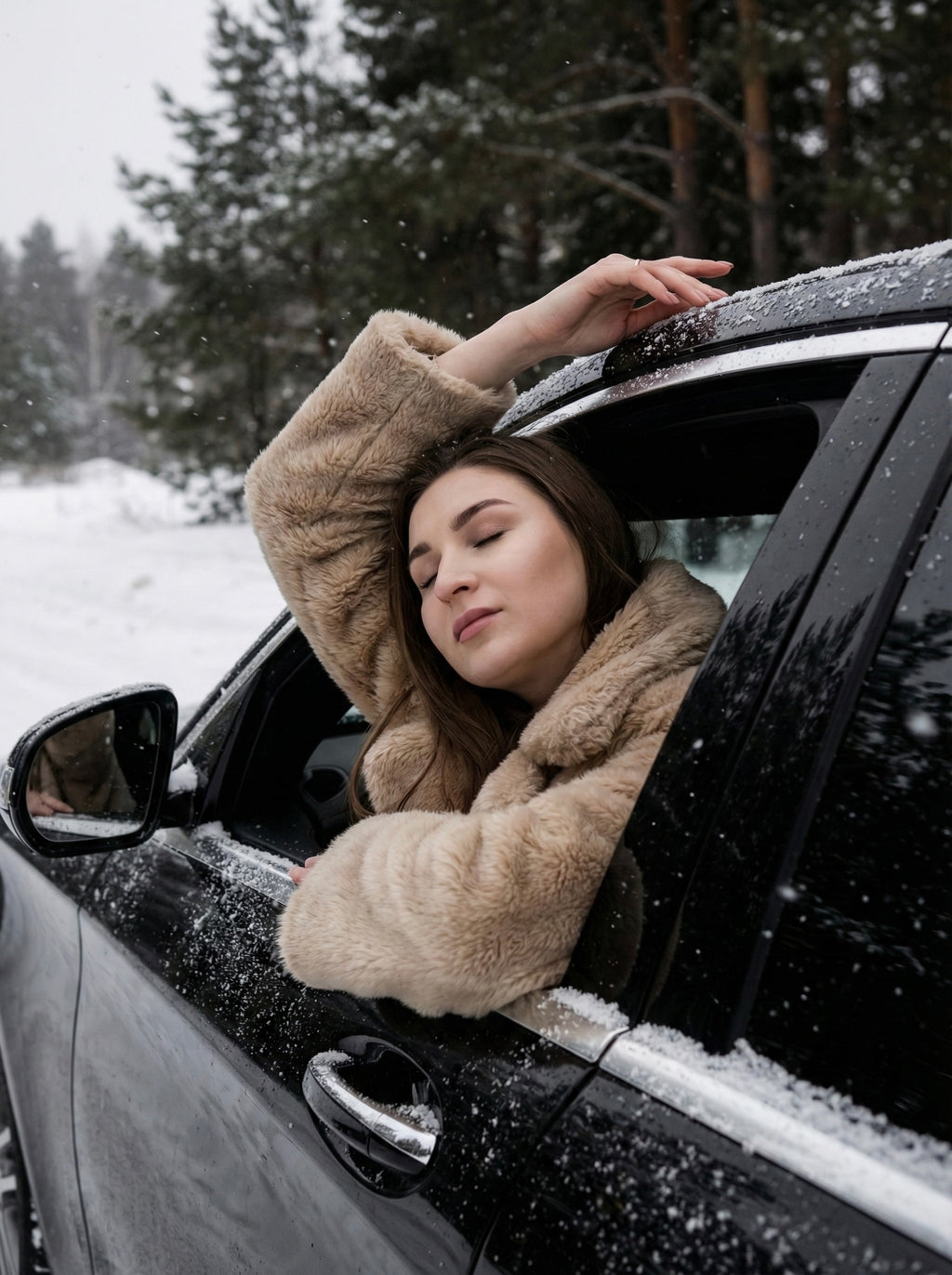 Northern Escape