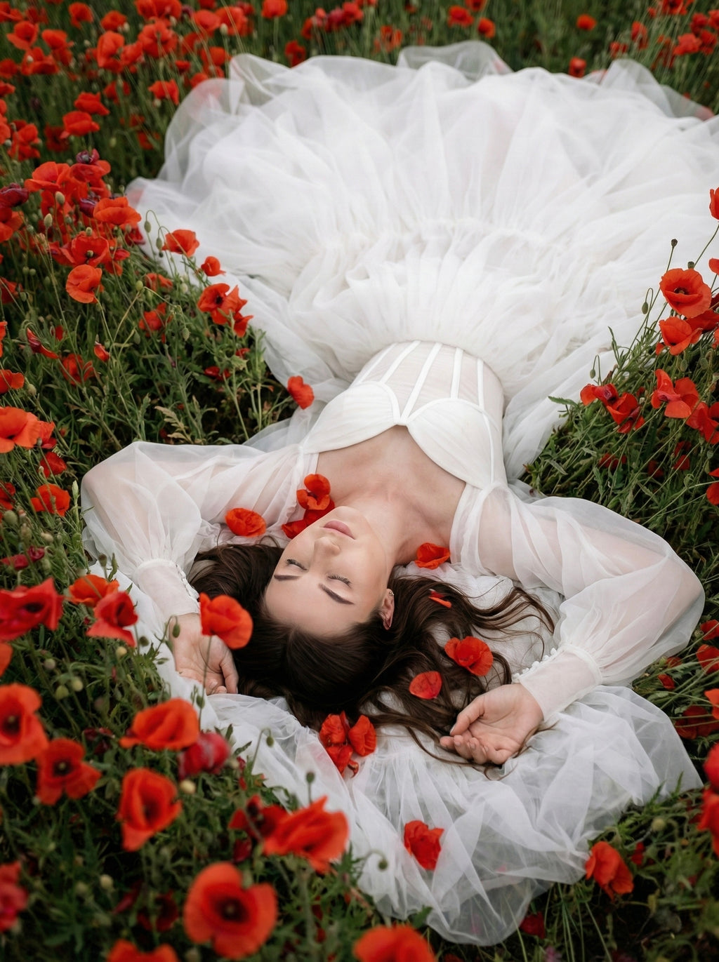 Fields of Grace
