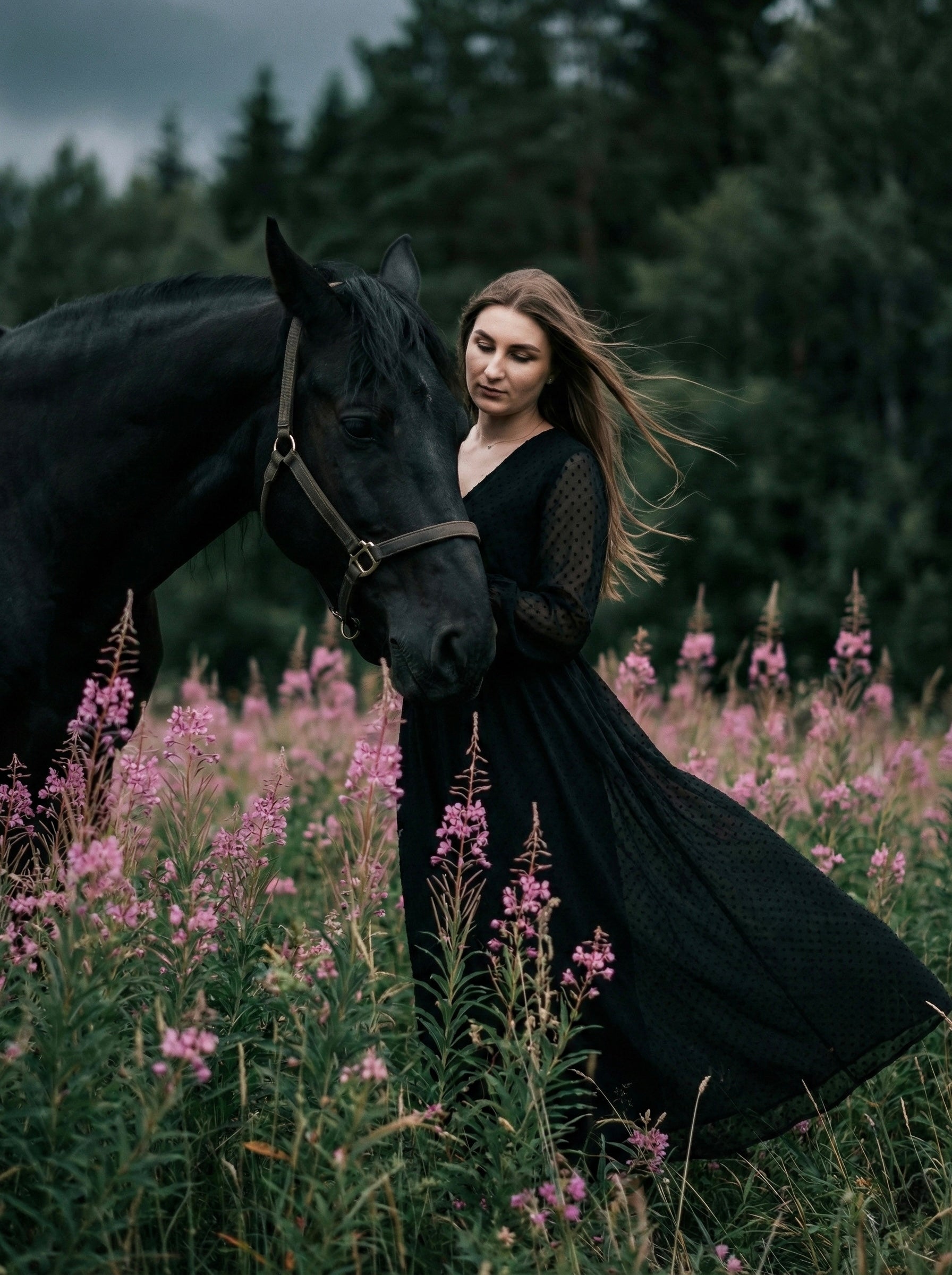 Dark Forest Muse