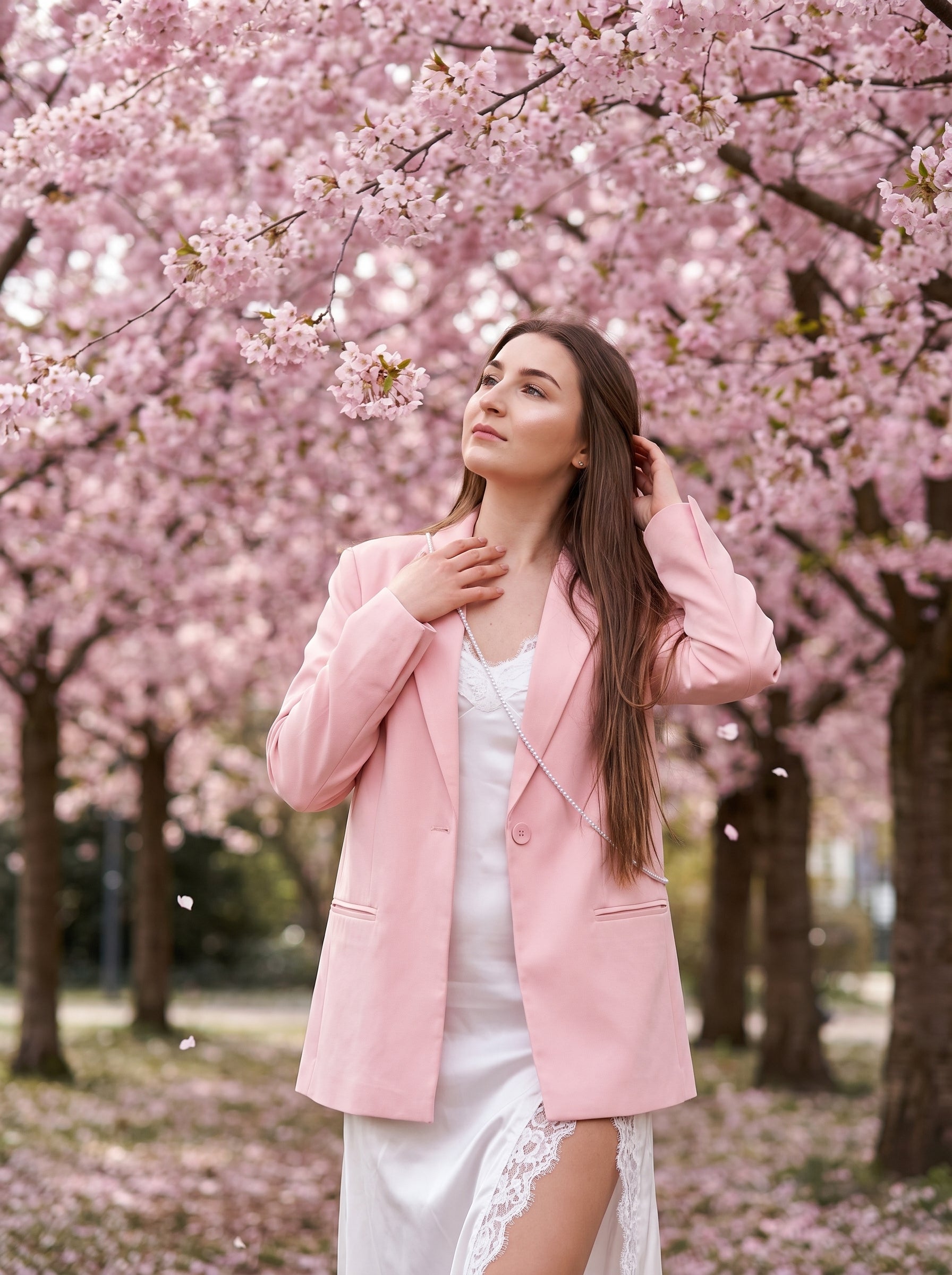 Cherry Blossom Elegance – Spring Photo Collection