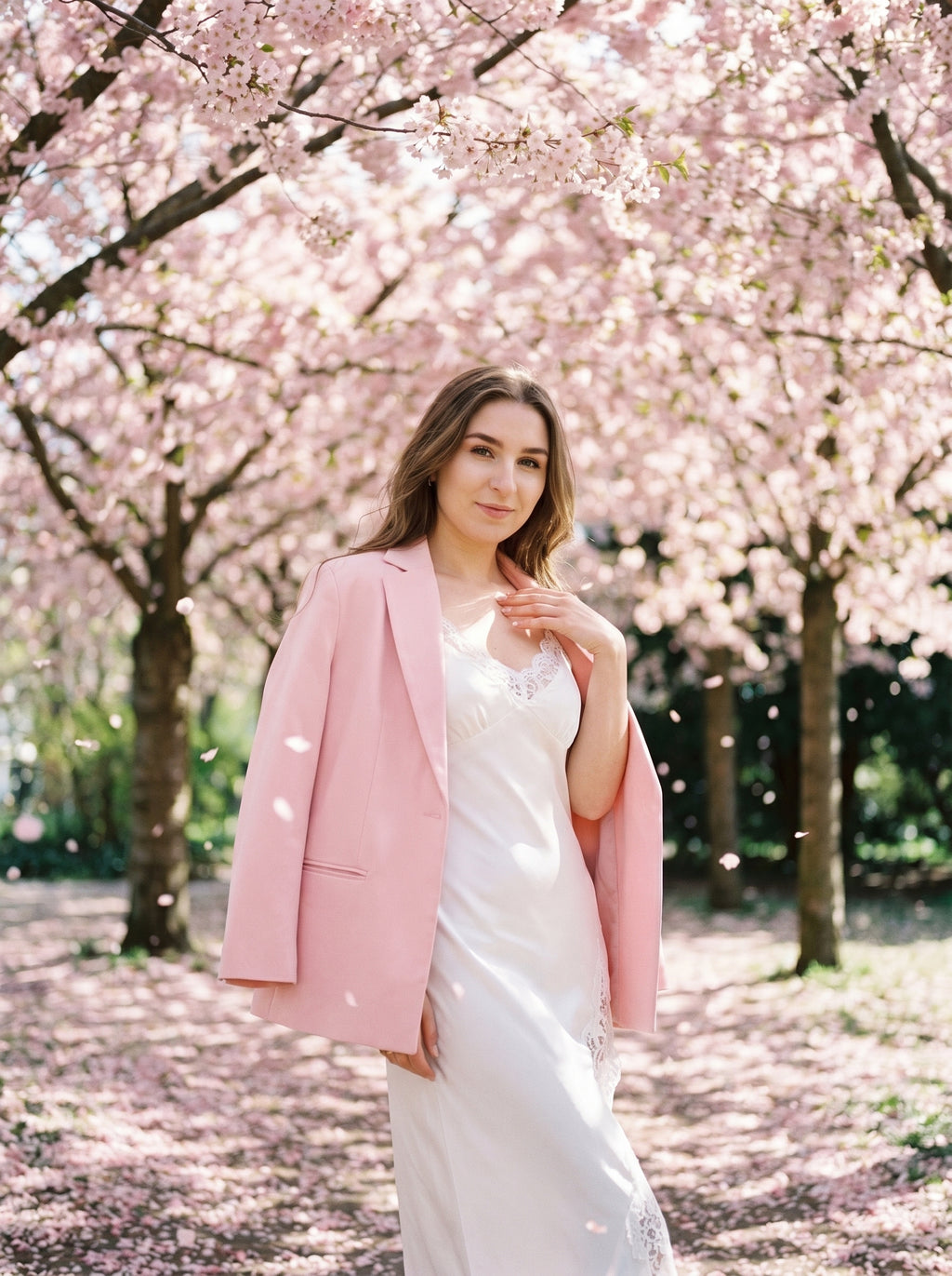 Cherry Blossom Elegance – Spring Photo Collection