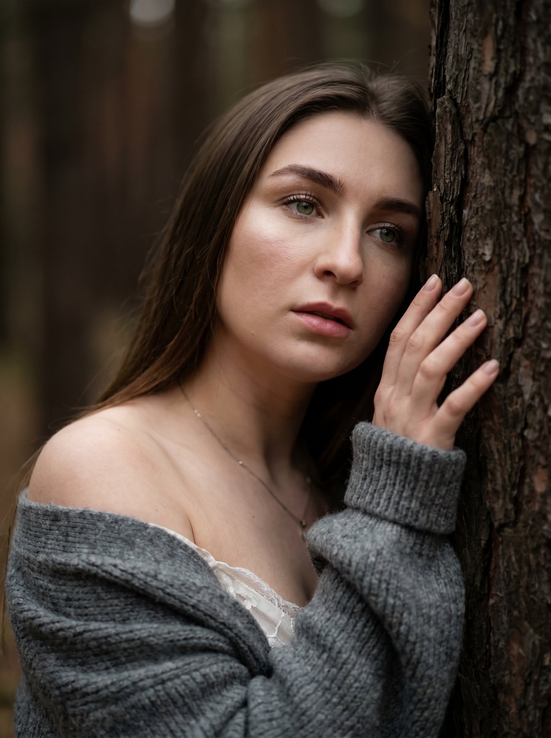 Silent Woods - A Story Between Stillness and Emotion