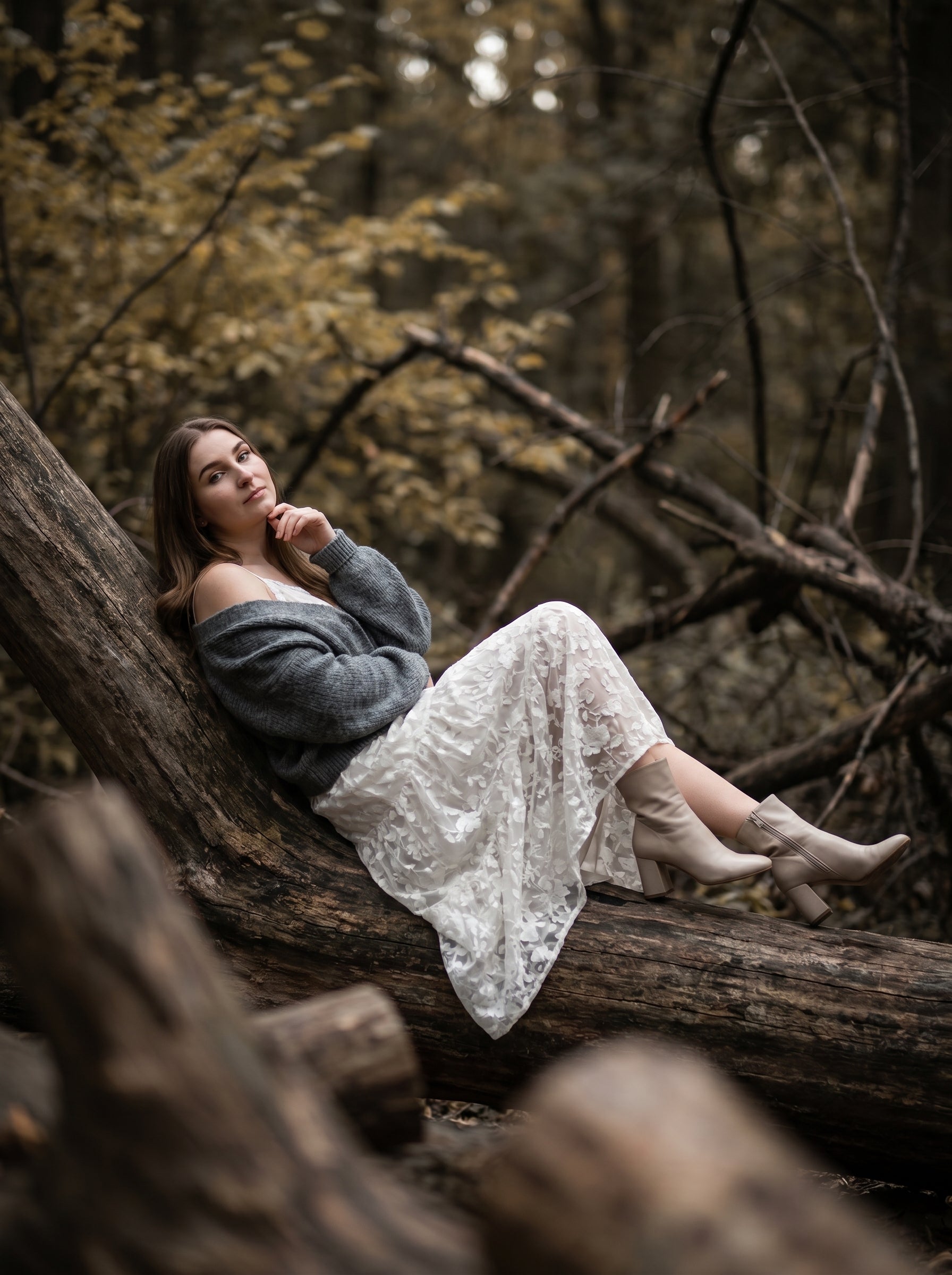 Silent Woods - A Story Between Stillness and Emotion