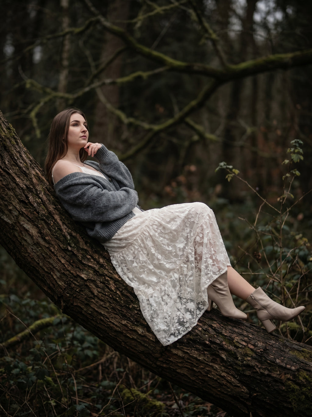 Silent Woods - A Story Between Stillness and Emotion