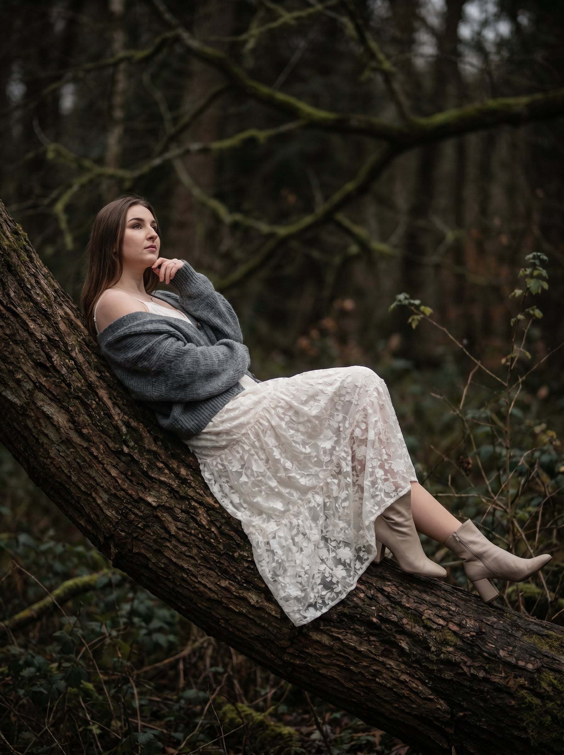 Silent Woods - A Story Between Stillness and Emotion