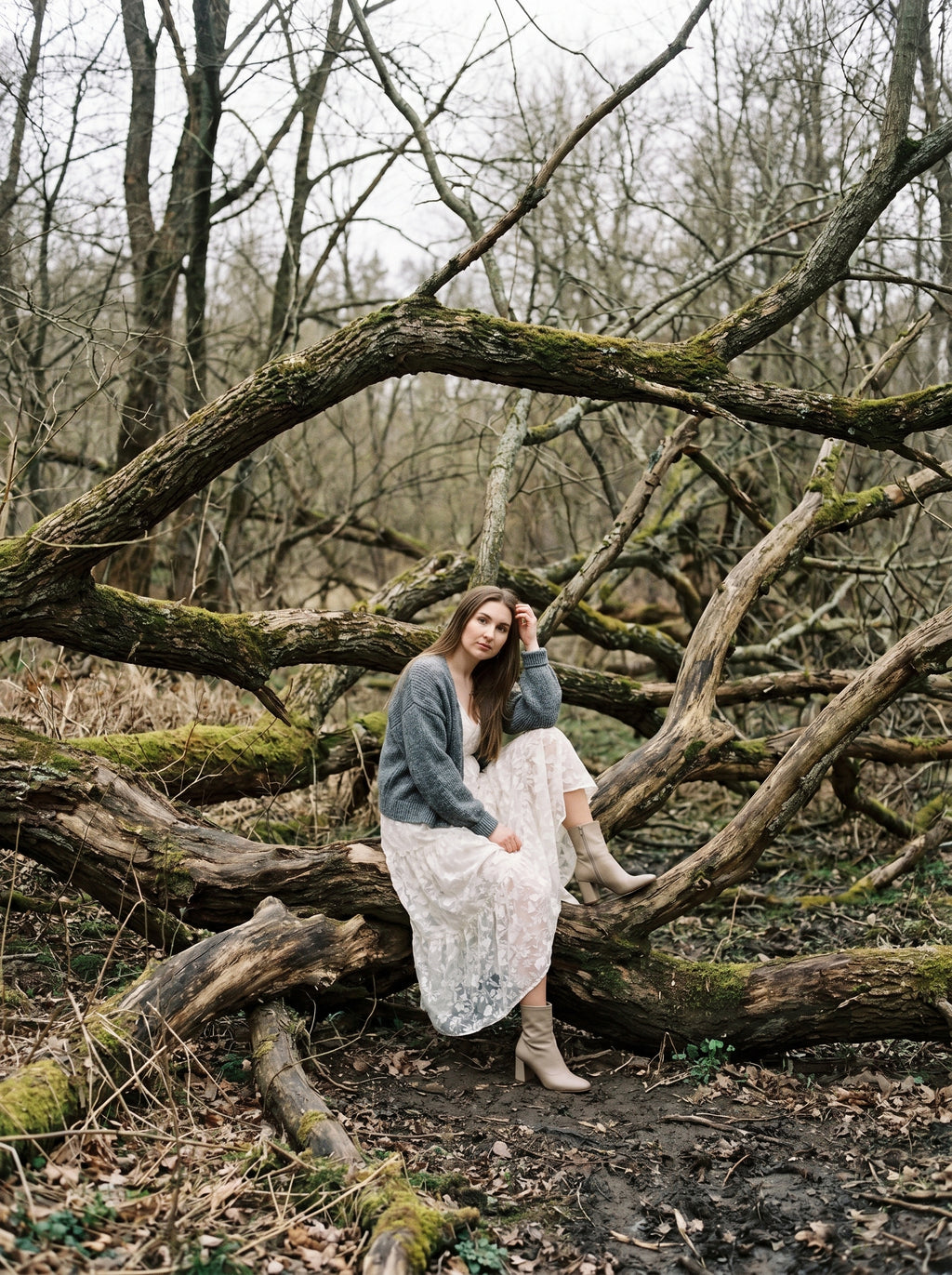 Silent Woods - A Story Between Stillness and Emotion