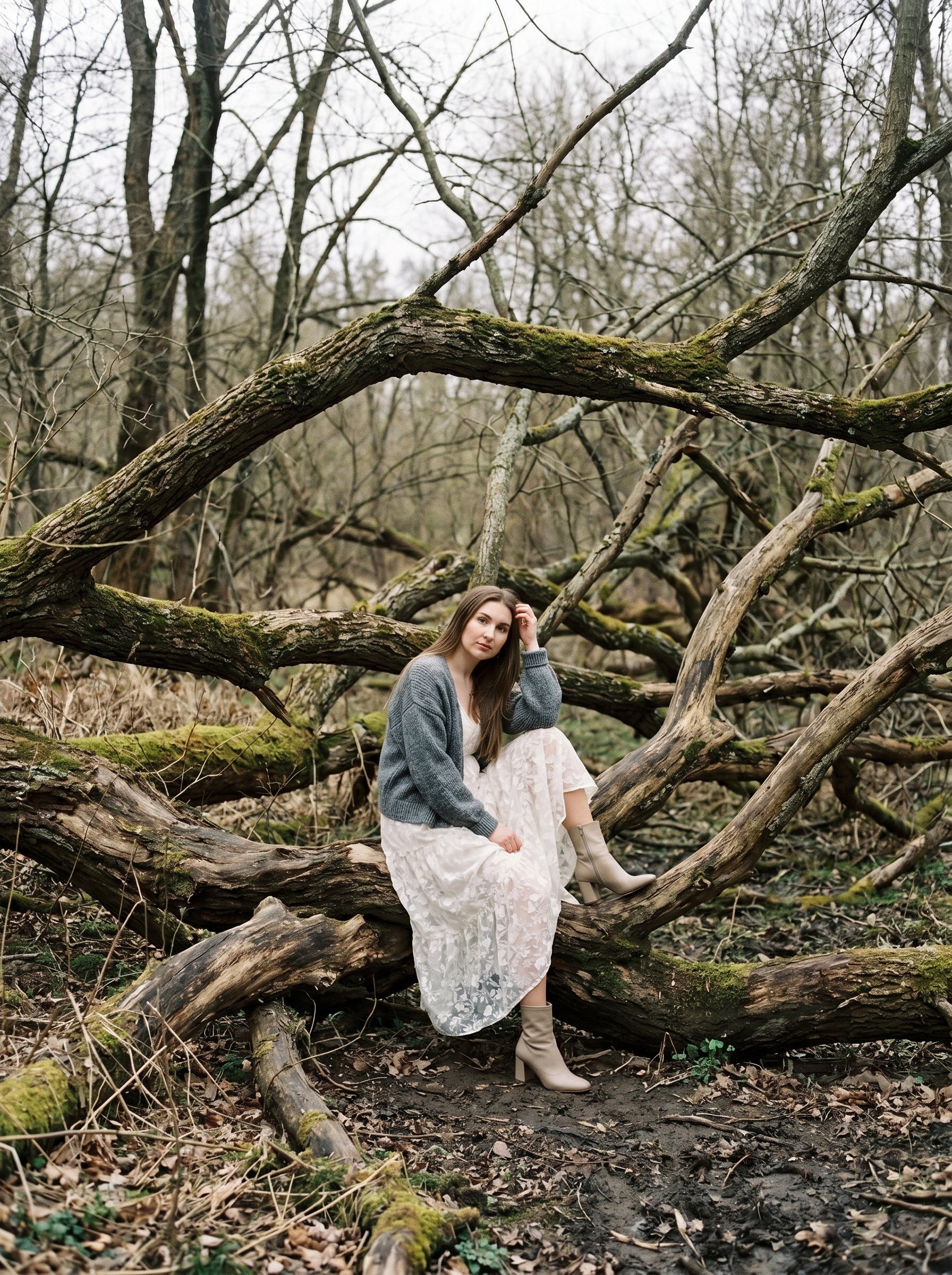 Silent Woods - A Story Between Stillness and Emotion